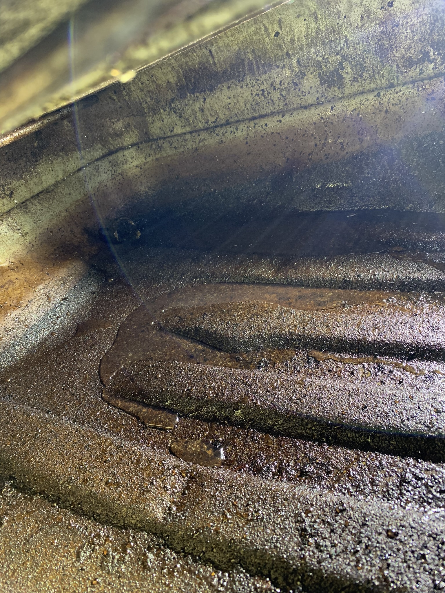 When U Don’t Run ‘Em