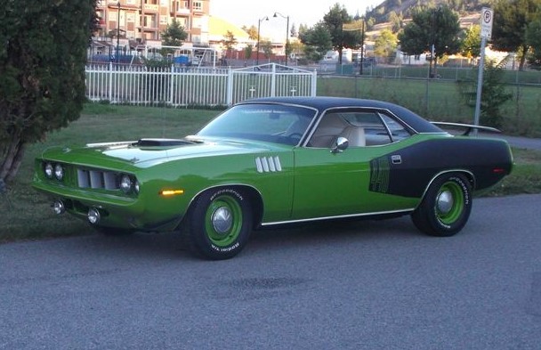 The World Famous Barrelcuda