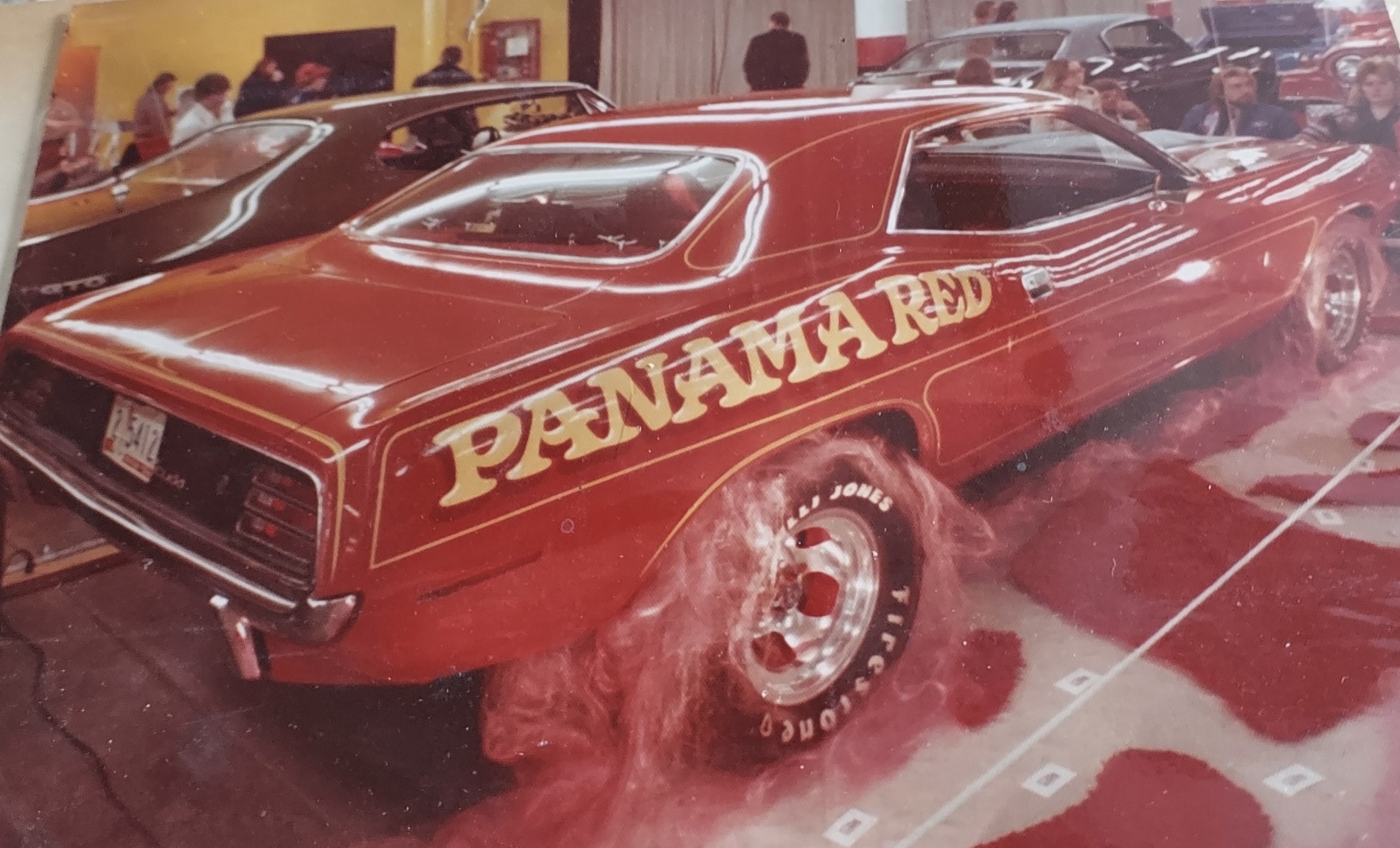 Panama Red Cuda